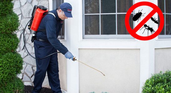 Çamlıhemşin Akrep İlaçlama böcek ilaçlama ve haşere kontrolü — ilaclama-tr.com